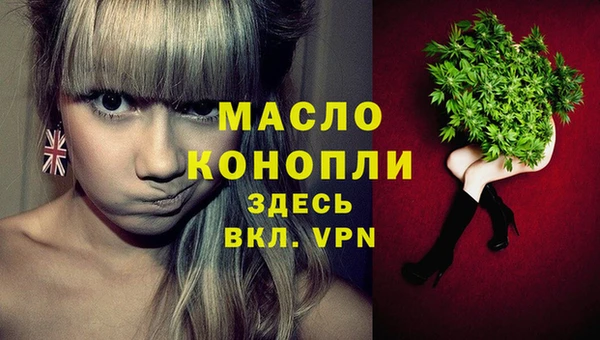 сатива Новодвинск
