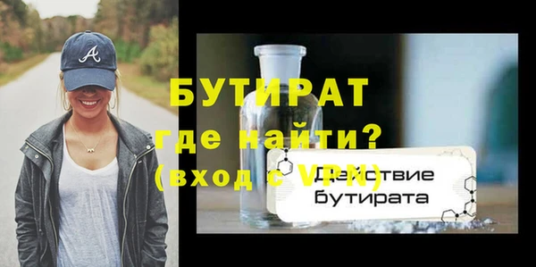 сатива Новодвинск