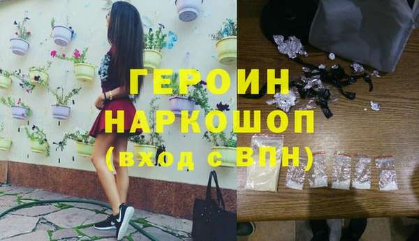 сатива Новодвинск