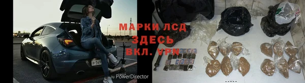 ALPHA PVP Новозыбков