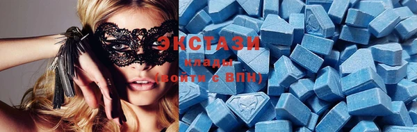 сатива Новодвинск