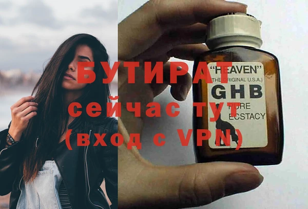 сатива Новодвинск