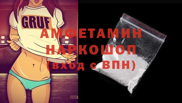 сатива Новодвинск