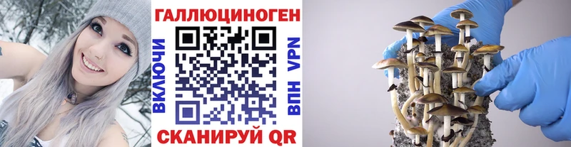 цены   Чита  кракен ONION  darknet состав  Псилоцибиновые грибы ЛСД 