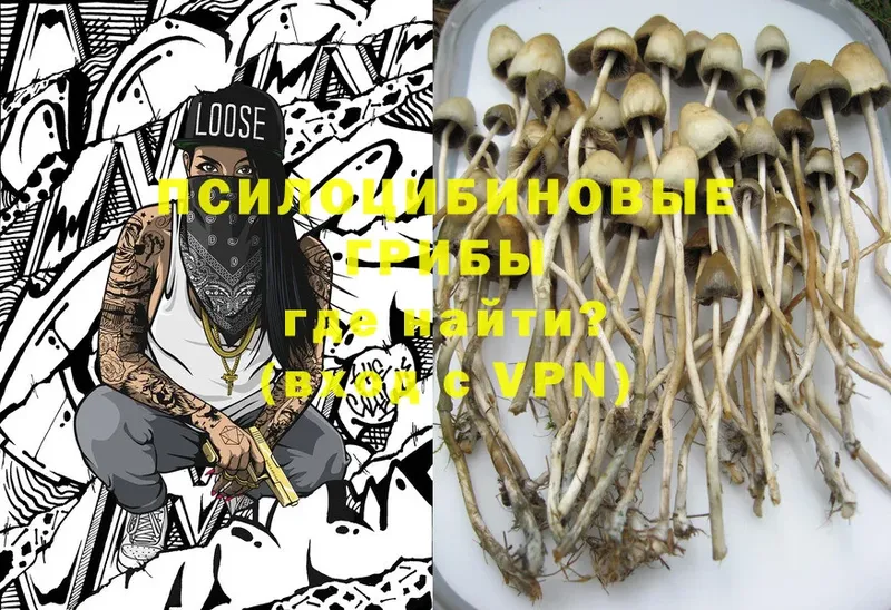 Галлюциногенные грибы Cubensis  цены   Чита 