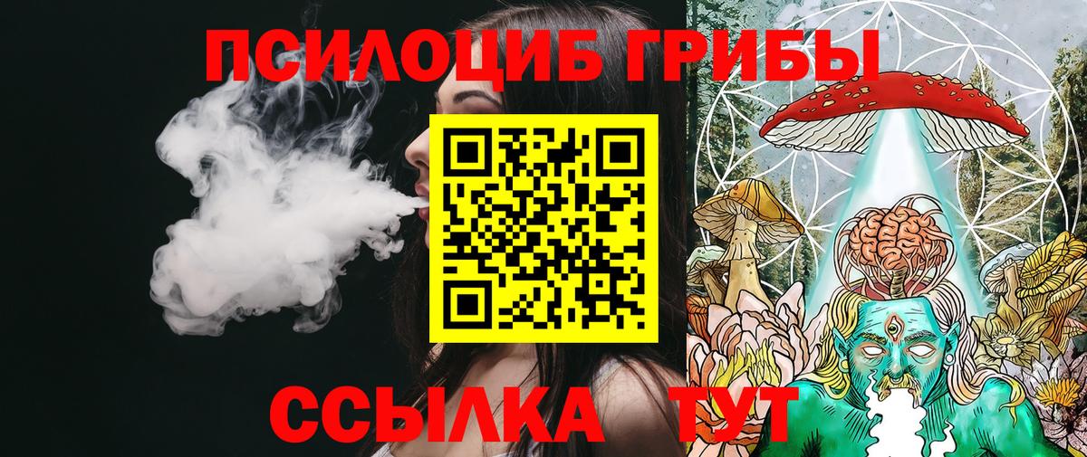 Псилоцибиновые грибы Psilocybe  Псилоцибиновые грибы мухоморы  Вход с VPN  Чита 