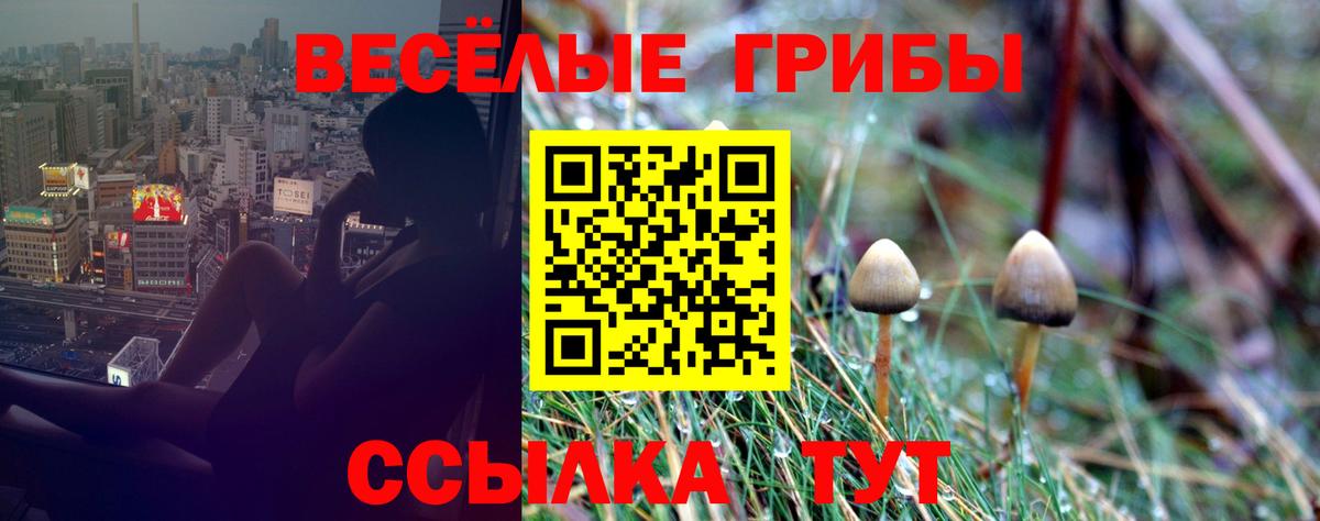 Галлюциногенные грибы MAGIC MUSHROOMS Чита